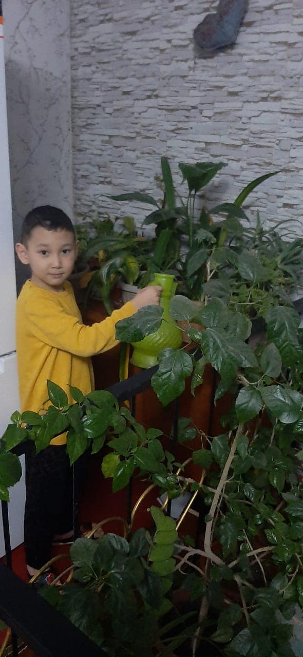 "Қазақстан балалары-көктем шақырады" 24-наурыз "Табиғат күні"Мектебіміздің оқушылары  үйлеріне гүл, ағаш отырғызып демалыс күндерін қызықты, пайдалы өткізіп жатқанынан көріністері.